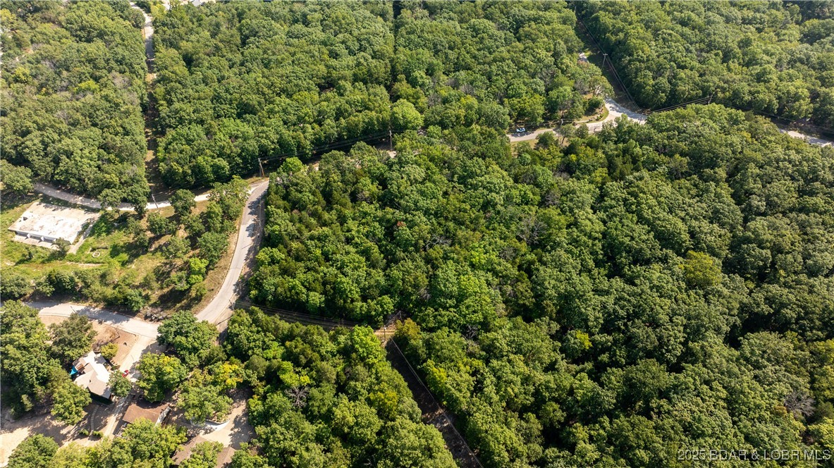 82 Sunset Shores Climax Springs, MO 65324 - Photo 12 of 16