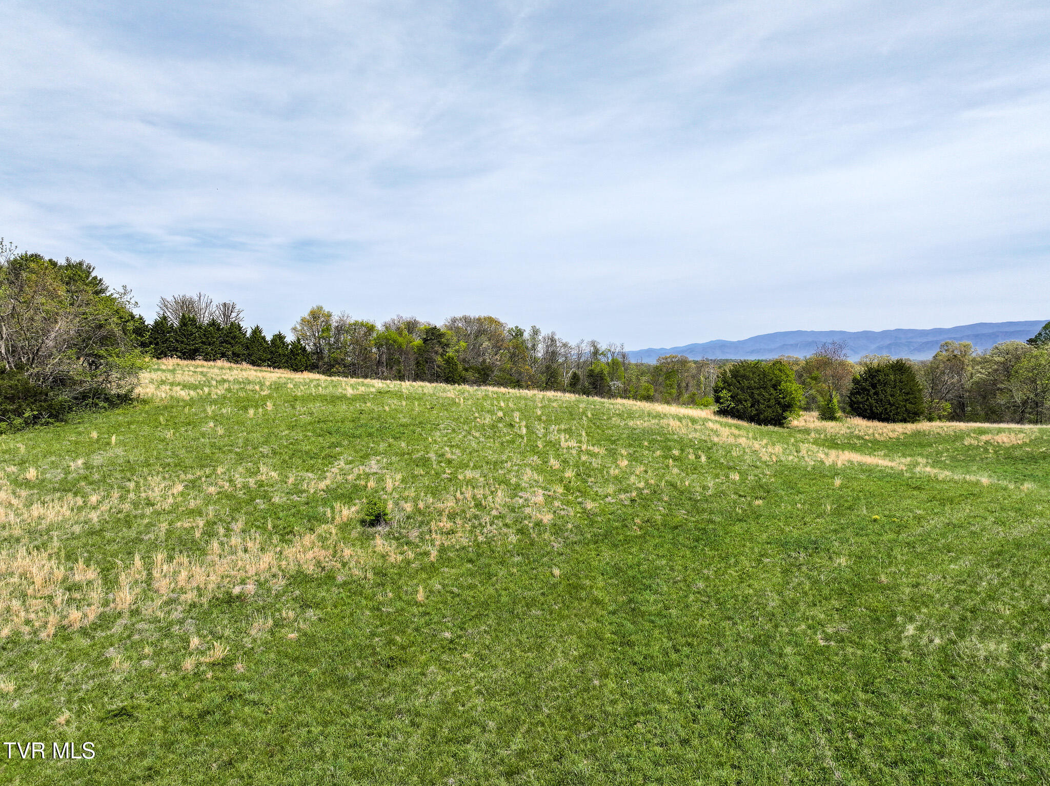 1625 Lick Hollow Road Greeneville, TN 37743 - Photo 15 of 70 DJI_20260408140150_0324_D