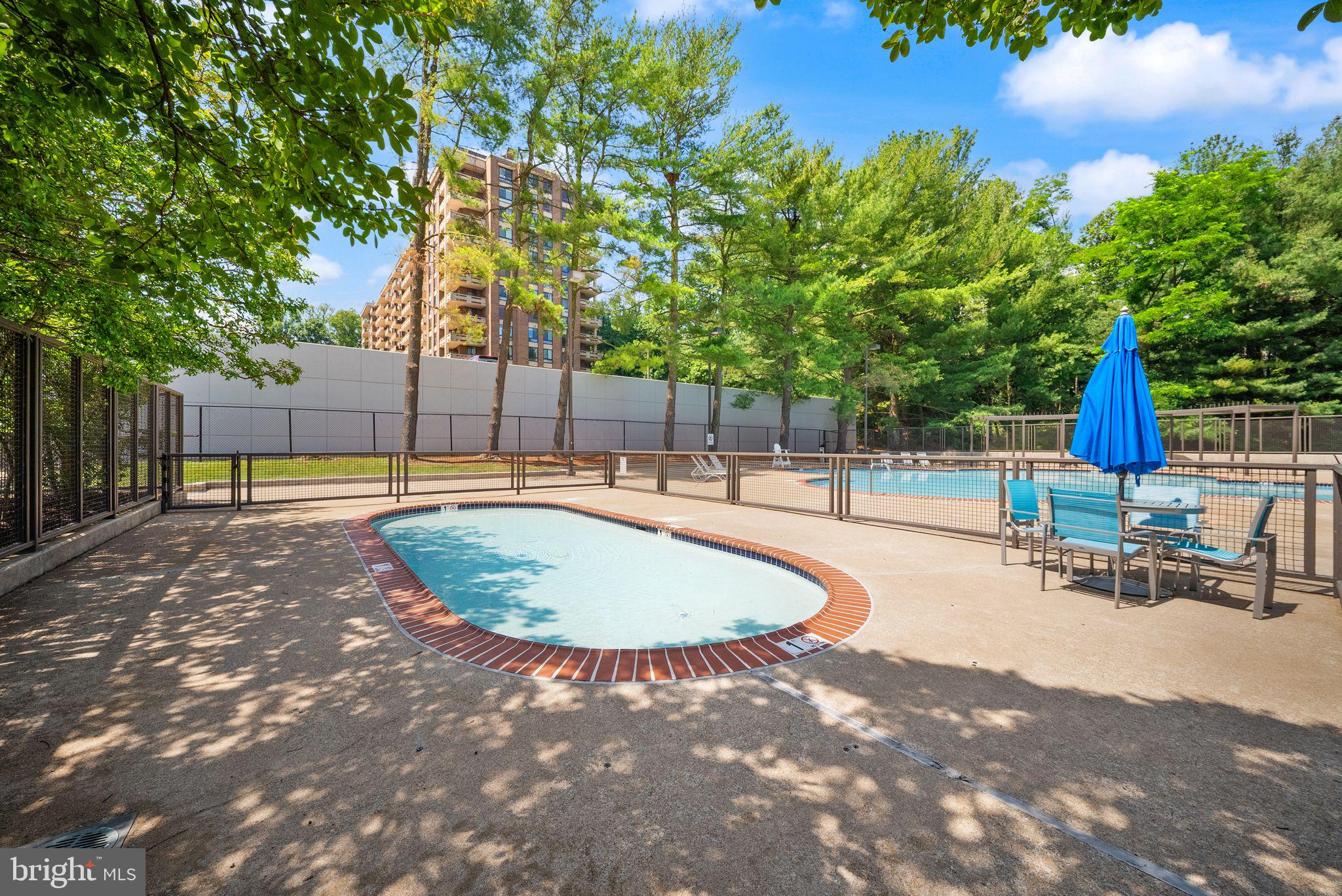1800 Old Meadow Road, Unit 1601 McLean, VA 22102 - Photo 43 of 46 Pool