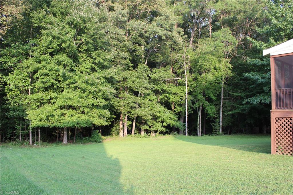 7820 Wilson Farm Road Summerfield, NC 27358 - Photo 27 of 29 Backyard View! Off-Site Septic!