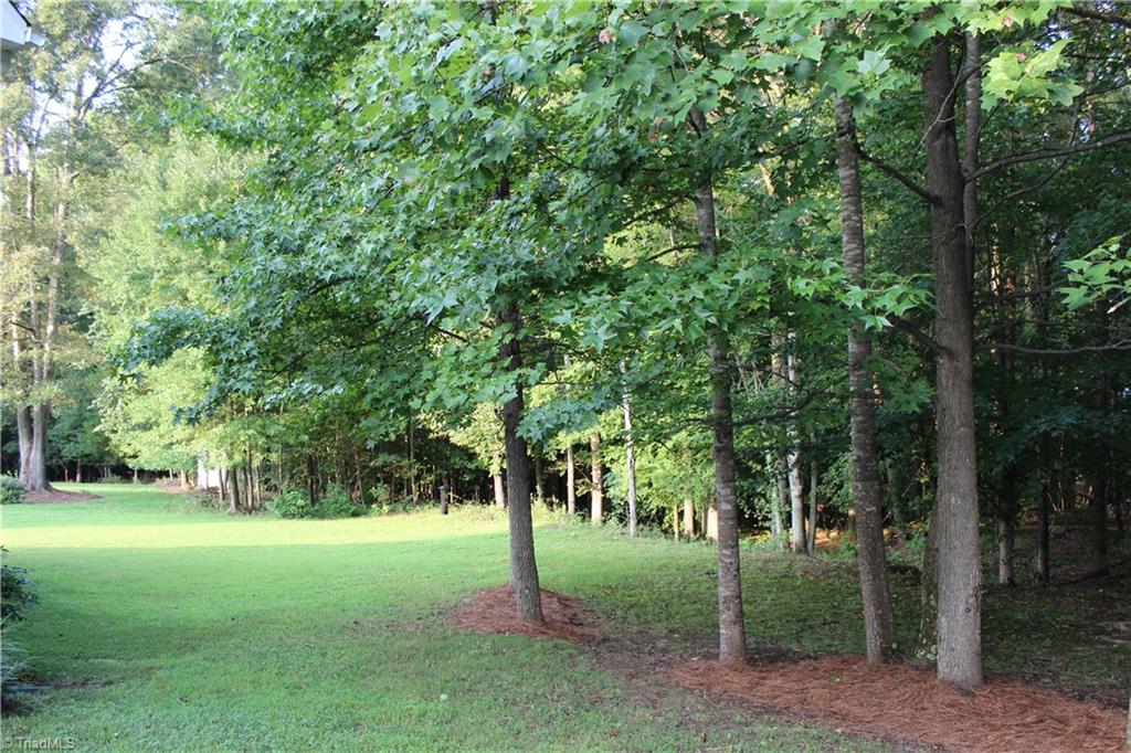7820 Wilson Farm Road Summerfield, NC 27358 - Photo 28 of 29 Backyard View!