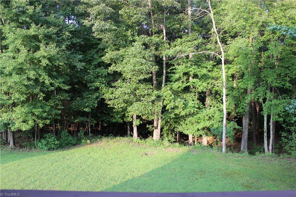 7820 Wilson Farm Road Summerfield, NC 27358 - Photo 29 of 29 Backyard View!