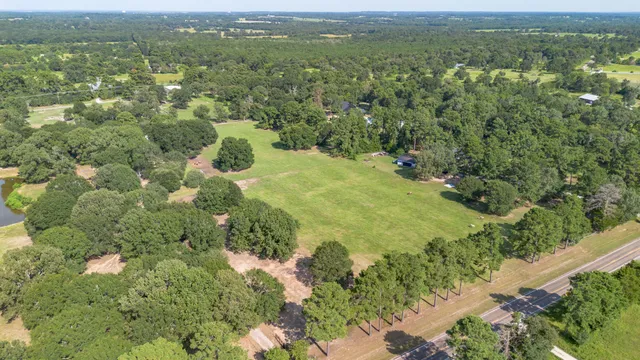 a view of a city with lush green forest