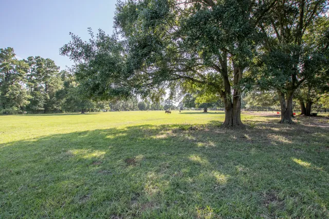 a view of yard with trees
