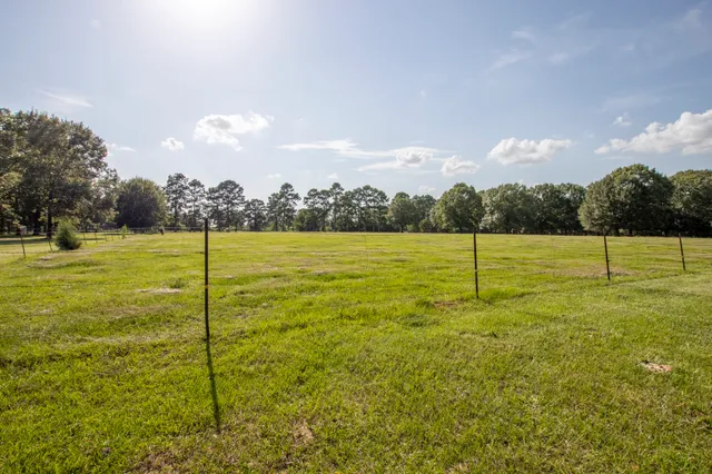 a view of a big yard with an fountain