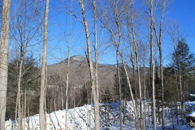 $2,250,000 | 36 Alpine Drive, Unit 36, Lincoln, NH 03251