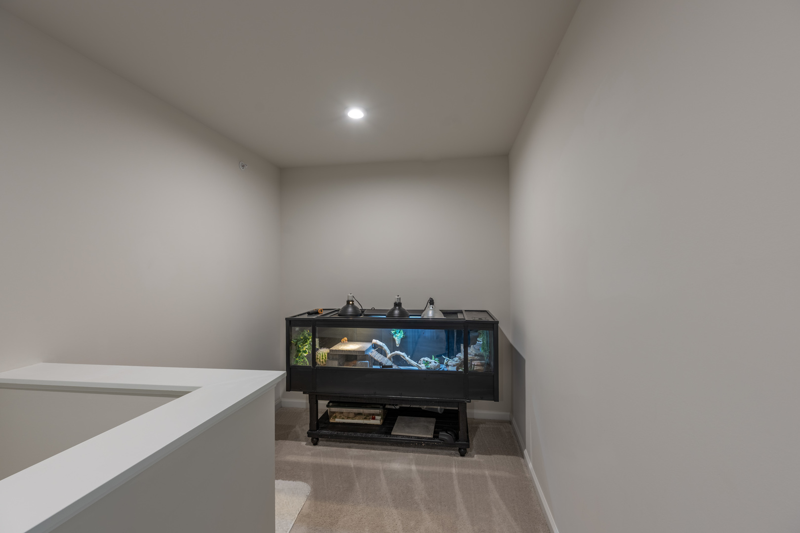 3363 Helene Rieder Drive Montgomery, IL 60538 - Photo 17 of 22