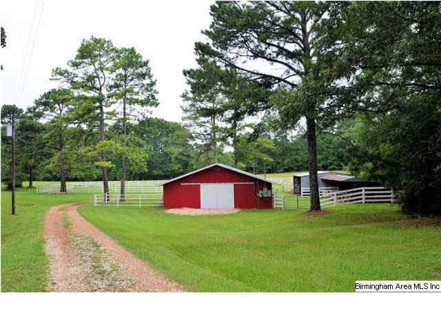 2004 Church Road Pell City, AL 35128 - Photo 8 of 12
