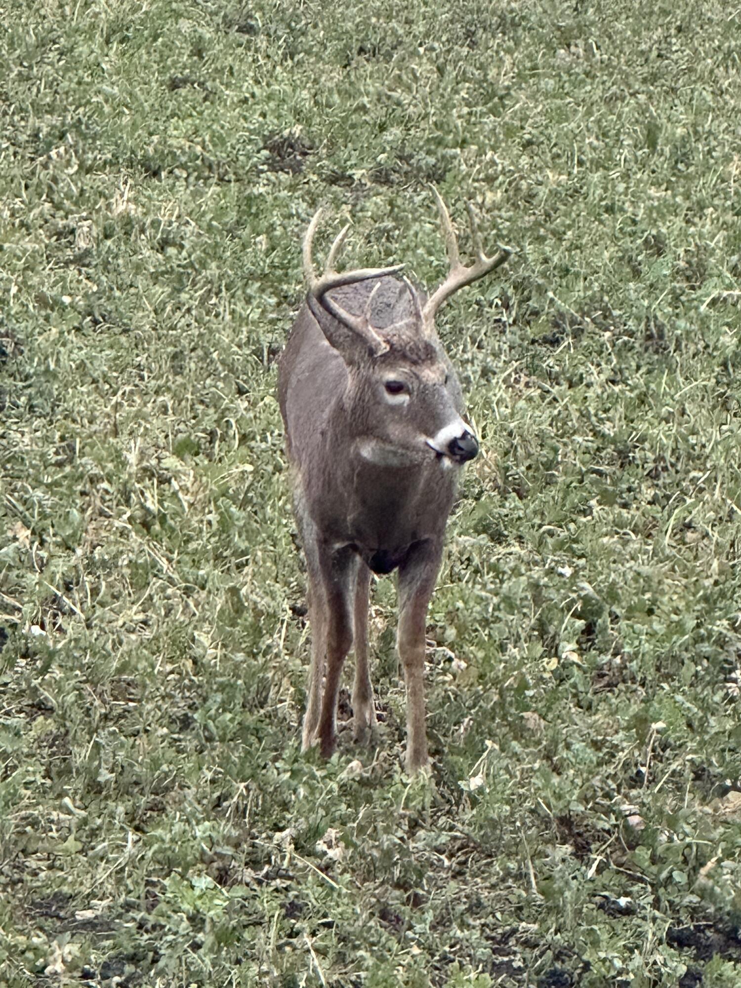 7797 East 13 Mile Road Paris, MI 49338 - Photo 11 of 65 IMG_3994