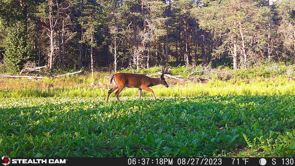 7797 East 13 Mile Road Paris, MI 49338 - Photo 14 of 65 IMG_5167