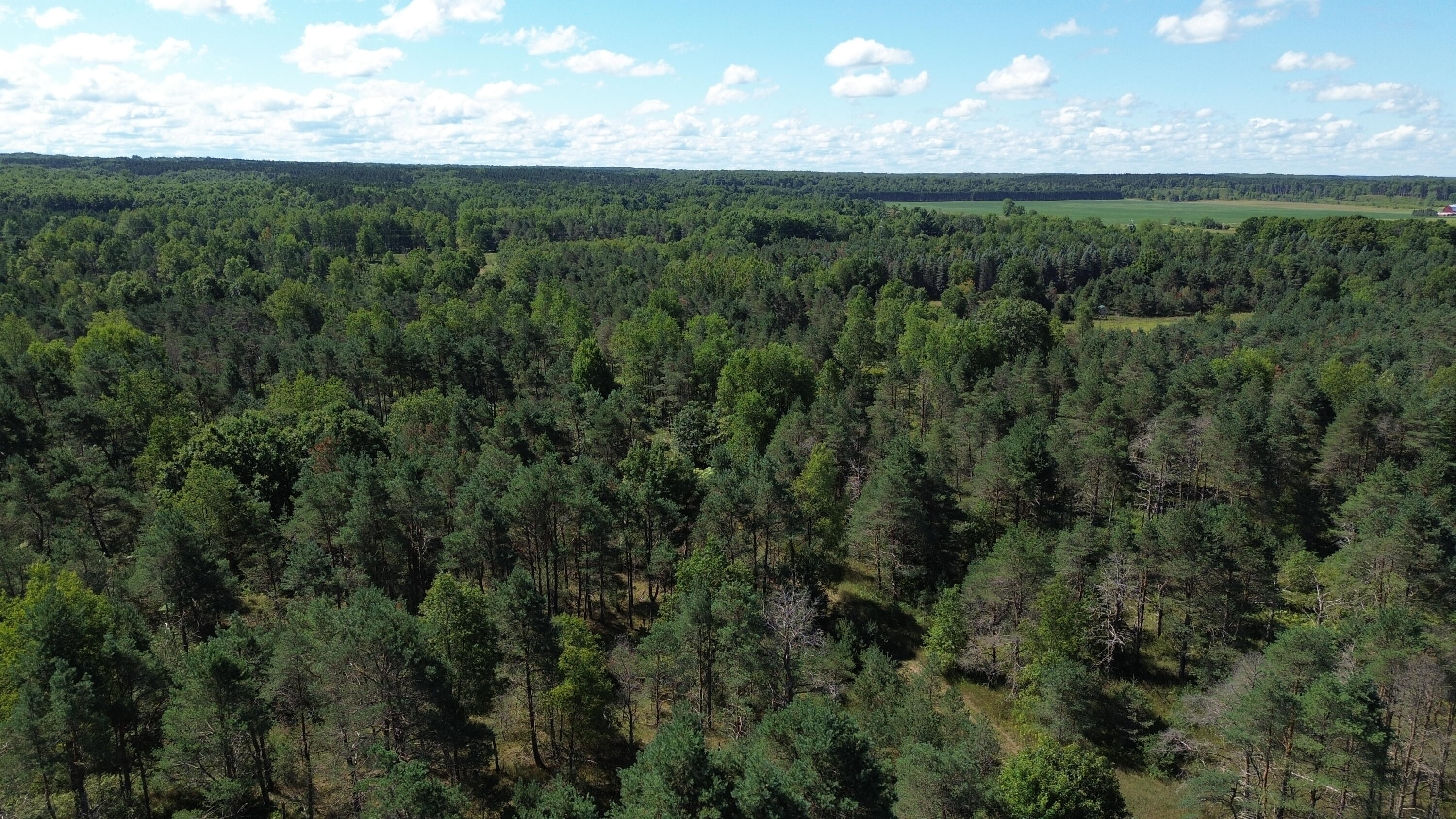 7797 East 13 Mile Road Paris, MI 49338 - Photo 18 of 65 DJI_0252