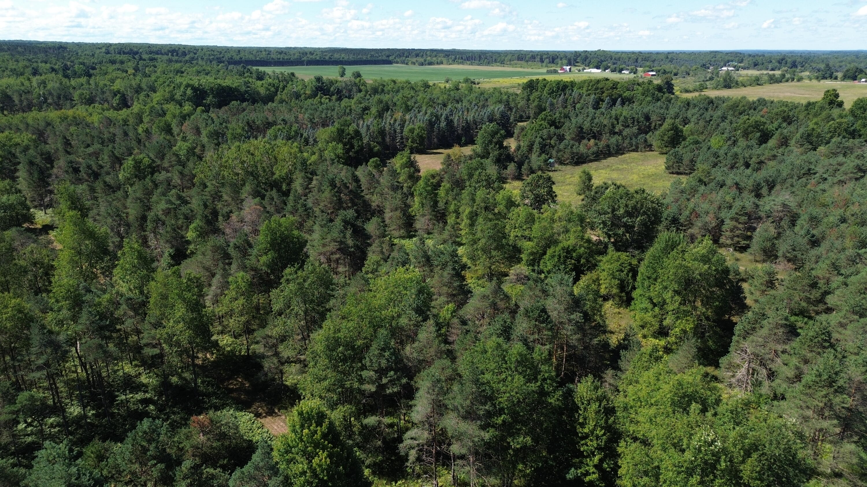 7797 East 13 Mile Road Paris, MI 49338 - Photo 20 of 65 DJI_0254