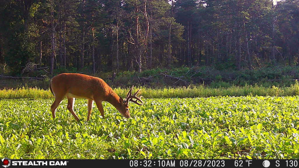 7797 East 13 Mile Road Paris, MI 49338 - Photo 2 of 65 IMG_5163