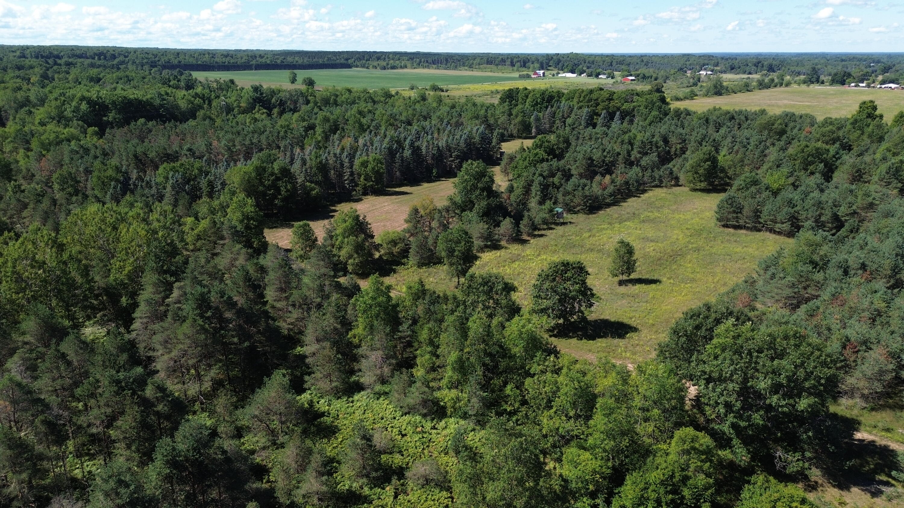 7797 East 13 Mile Road Paris, MI 49338 - Photo 21 of 65 DJI_0255