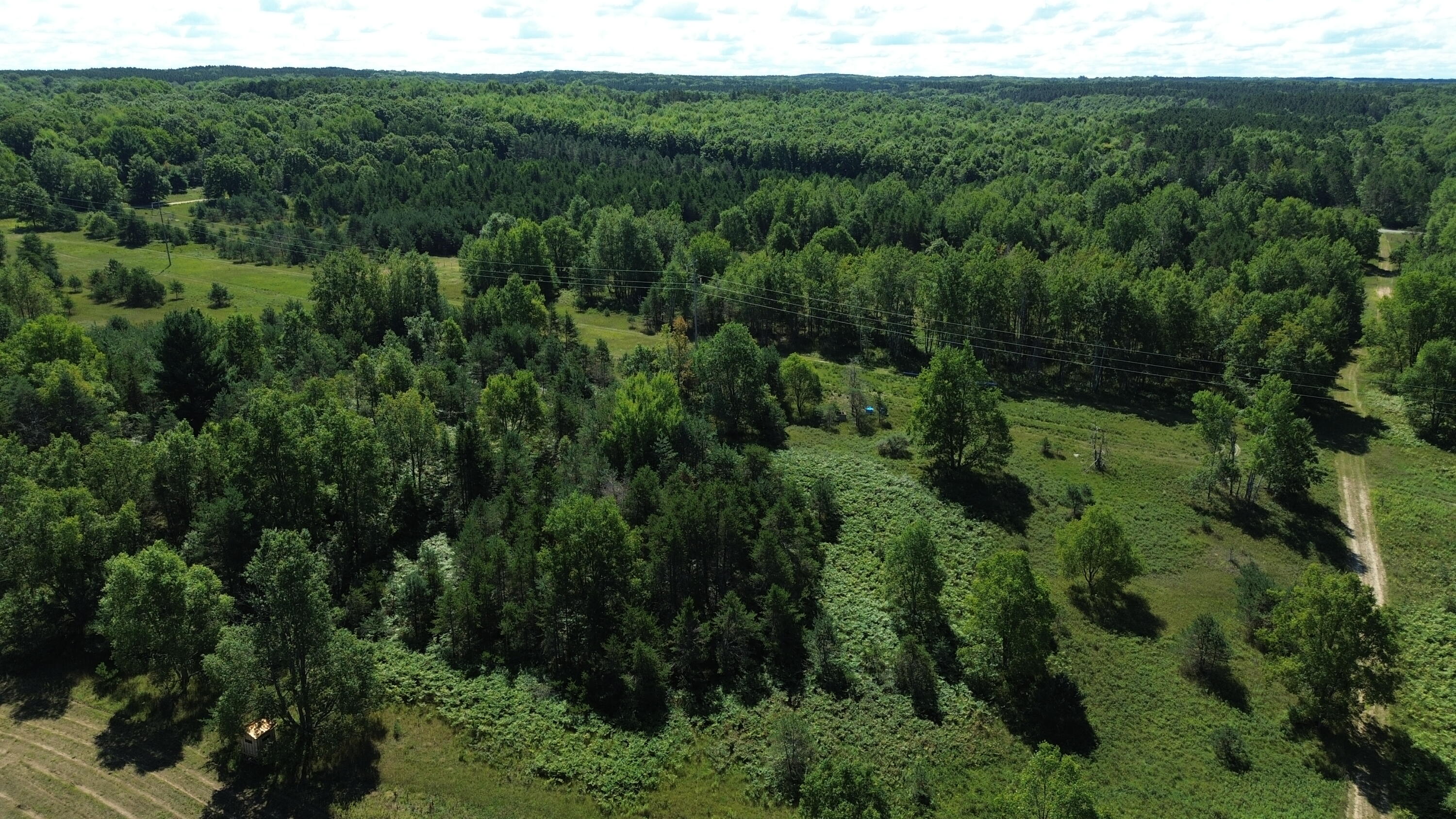 7797 East 13 Mile Road Paris, MI 49338 - Photo 24 of 65 DJI_0258