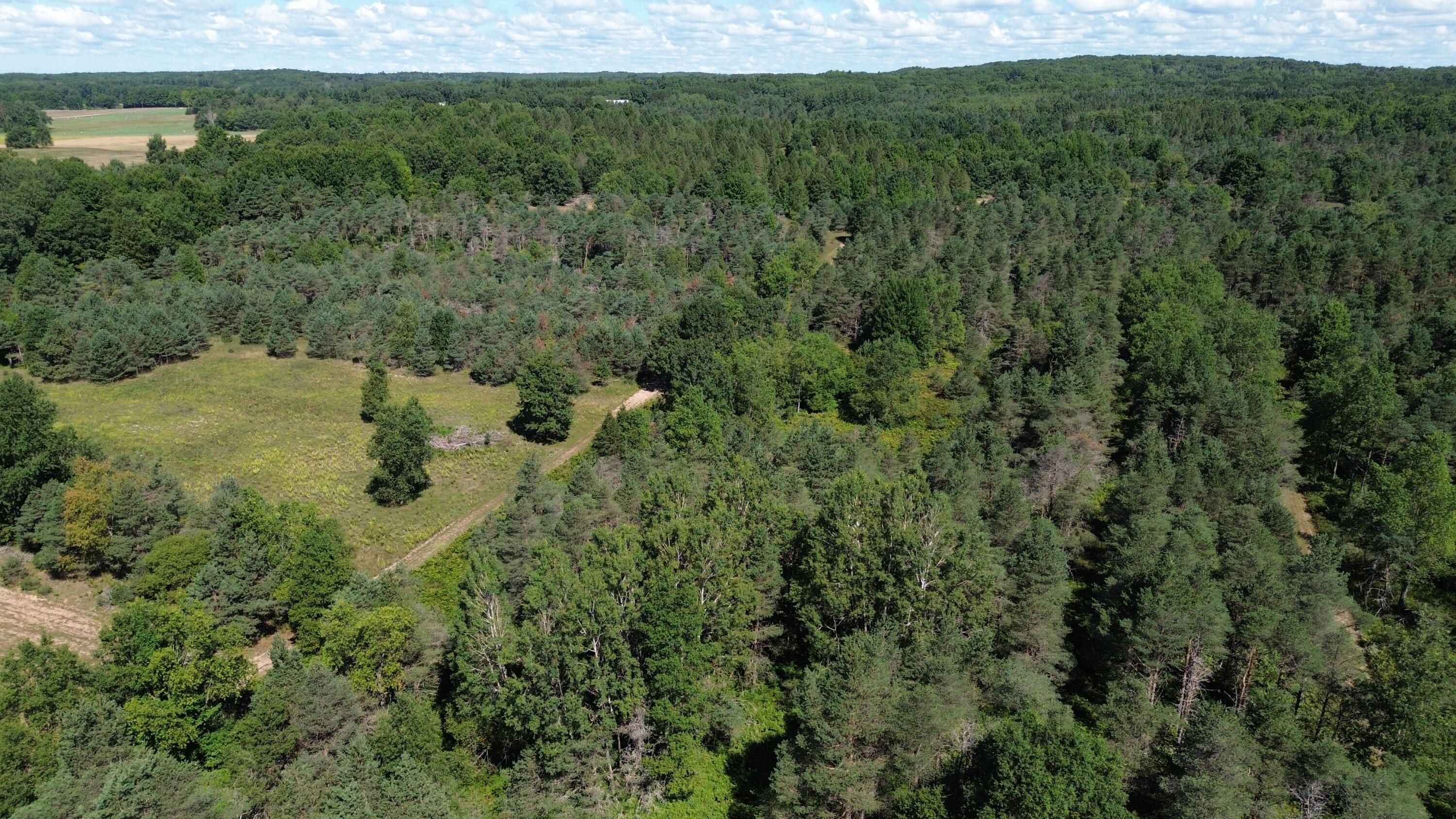 7797 East 13 Mile Road Paris, MI 49338 - Photo 25 of 65 DJI_0259