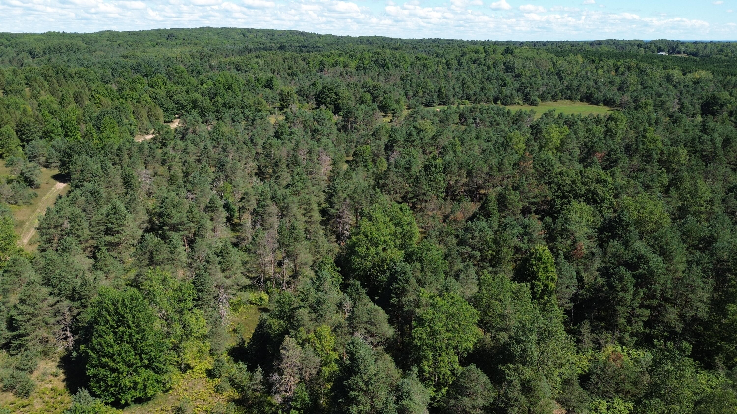 7797 East 13 Mile Road Paris, MI 49338 - Photo 26 of 65 DJI_0260