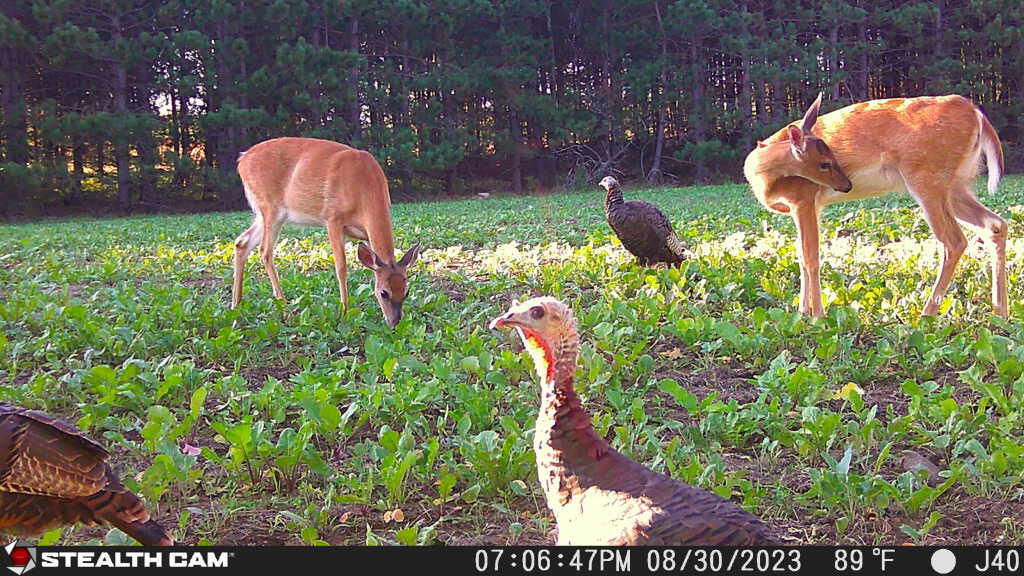 7797 East 13 Mile Road Paris, MI 49338 - Photo 3 of 65 IMG_5178