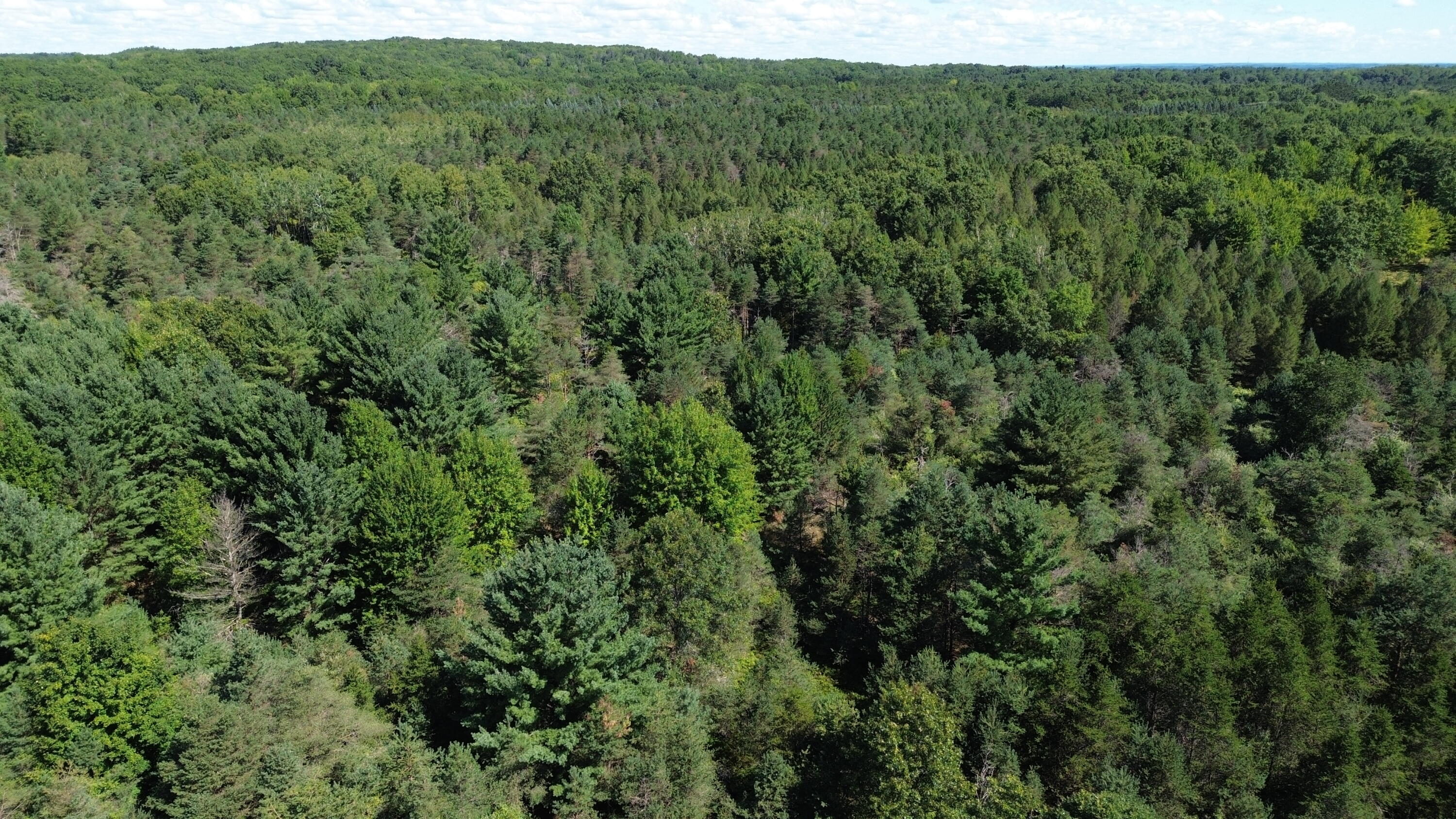 7797 East 13 Mile Road Paris, MI 49338 - Photo 31 of 65 DJI_0265