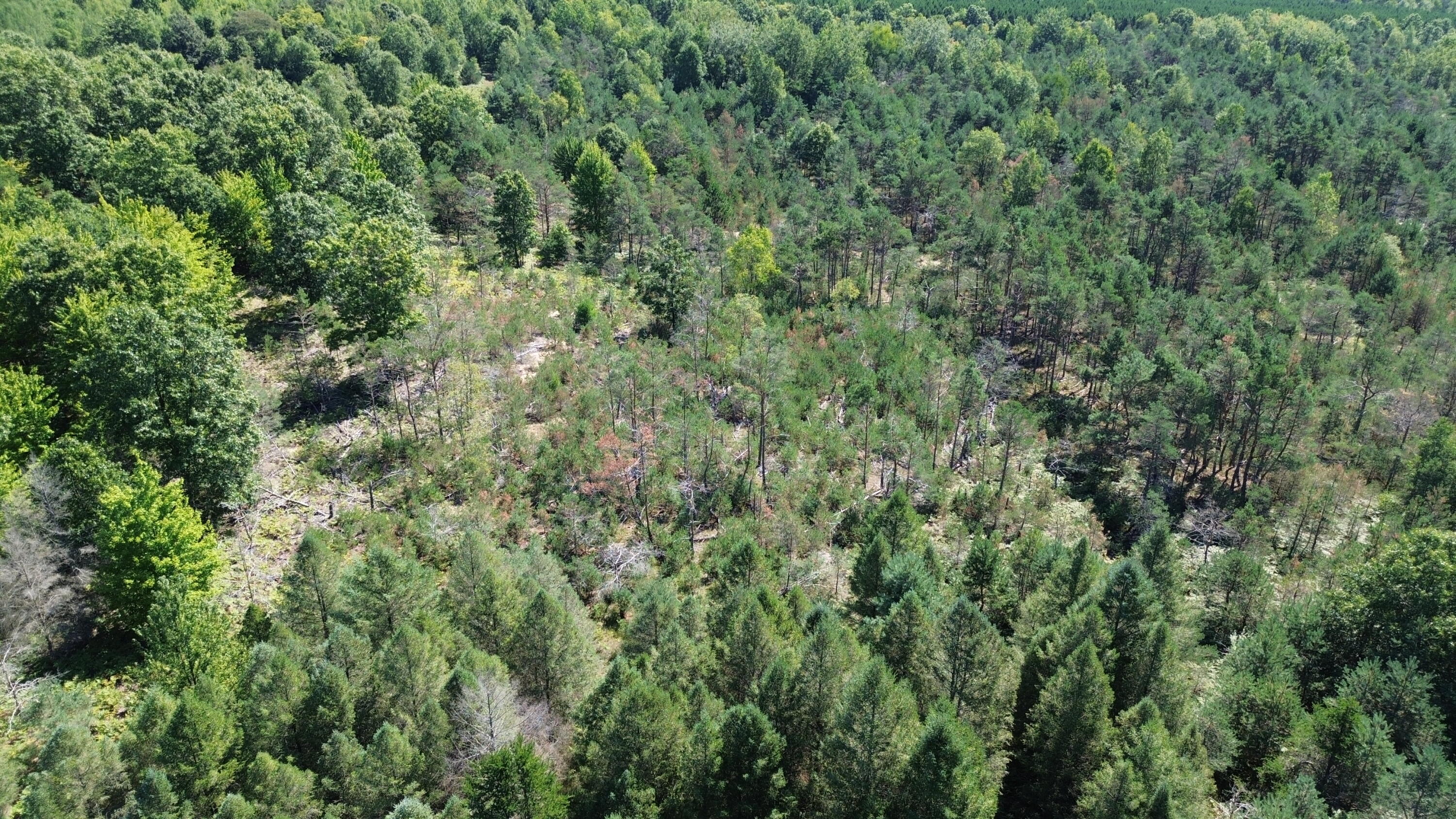 7797 East 13 Mile Road Paris, MI 49338 - Photo 32 of 65 DJI_0266
