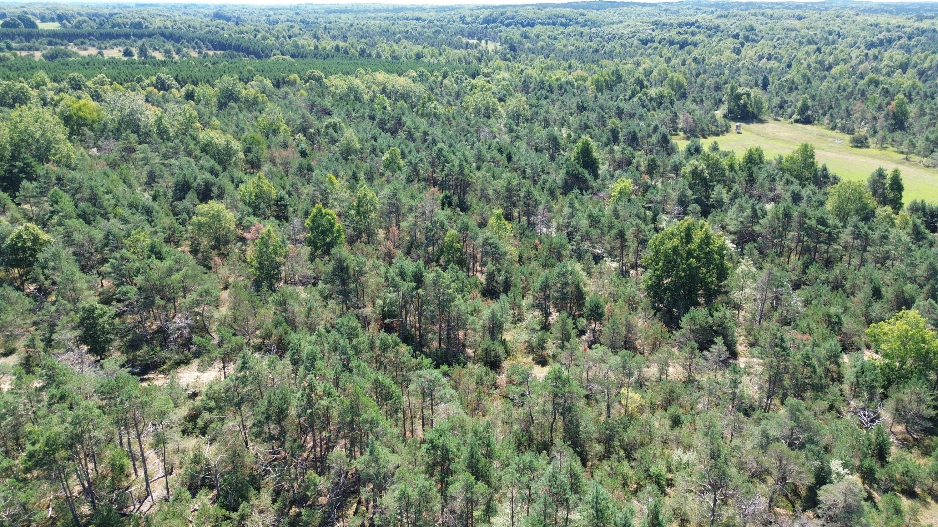 7797 East 13 Mile Road Paris, MI 49338 - Photo 33 of 65 DJI_0267