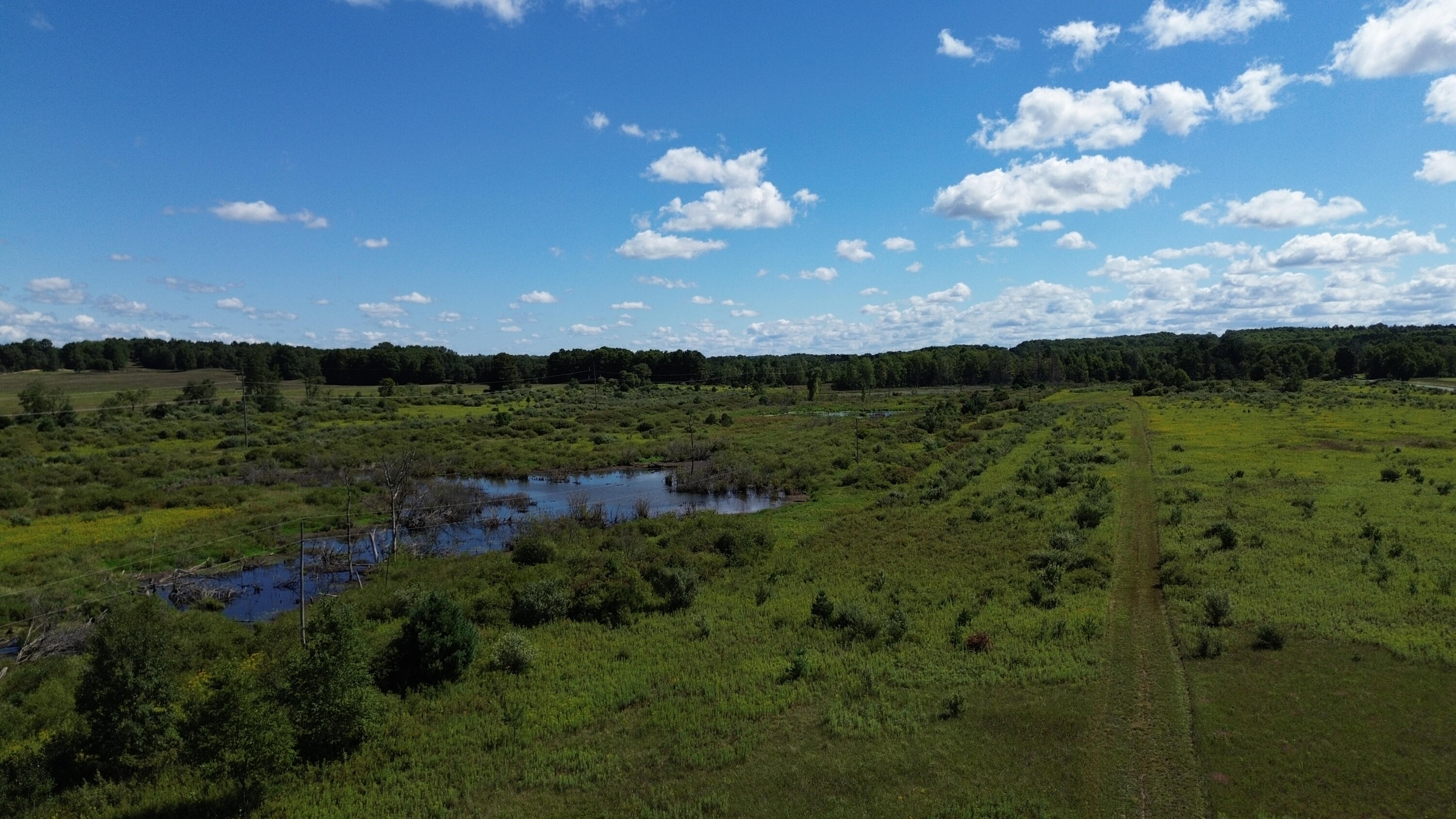 7797 East 13 Mile Road Paris, MI 49338 - Photo 38 of 65 DJI_0272
