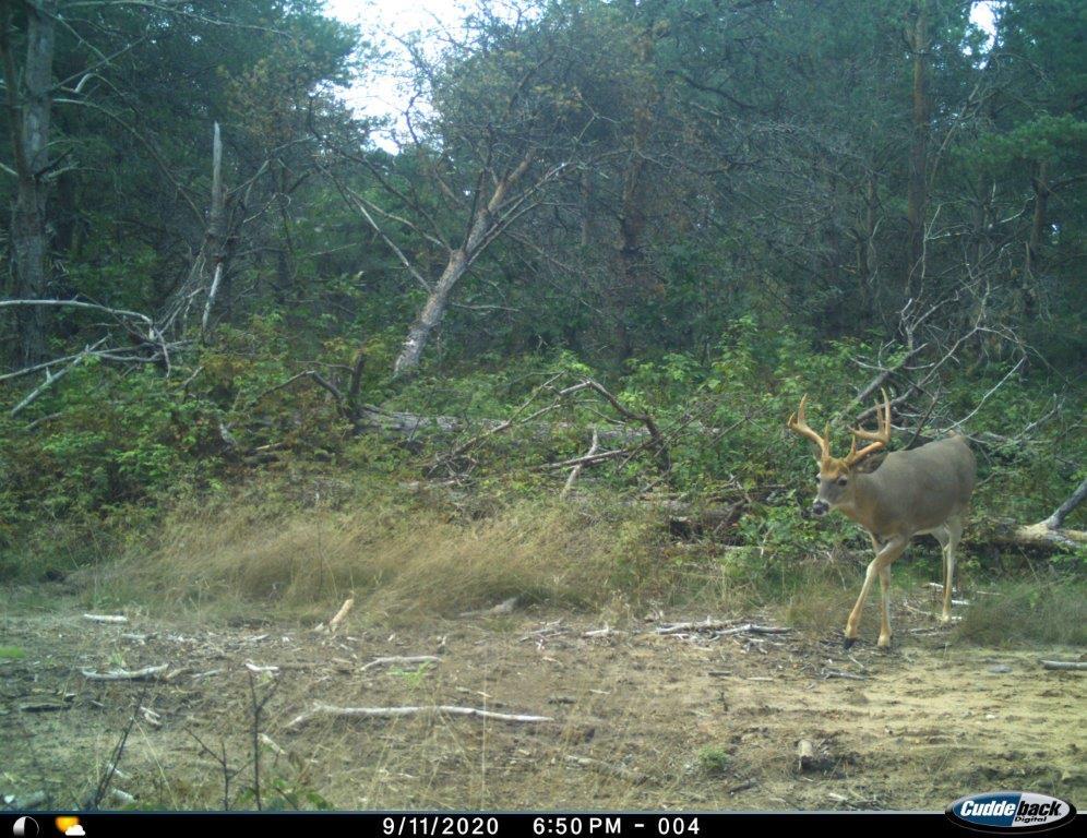 7797 East 13 Mile Road Paris, MI 49338 - Photo 5 of 65 I__00082
