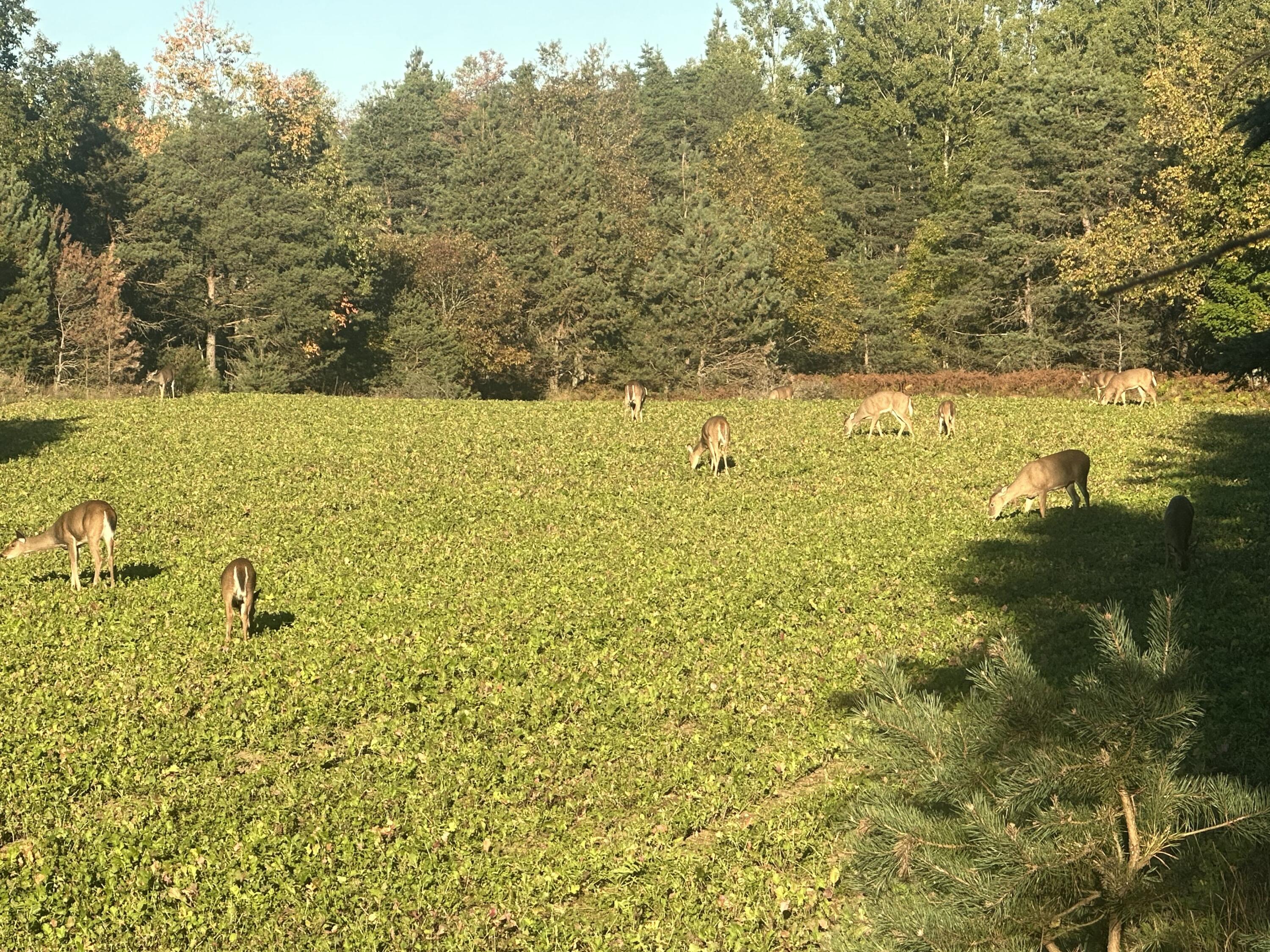 7797 East 13 Mile Road Paris, MI 49338 - Photo 10 of 65 IMG_3729