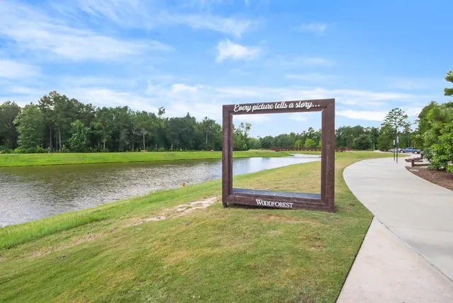 a view of a park with large trees