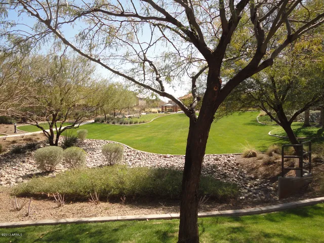 a view of a park with large trees