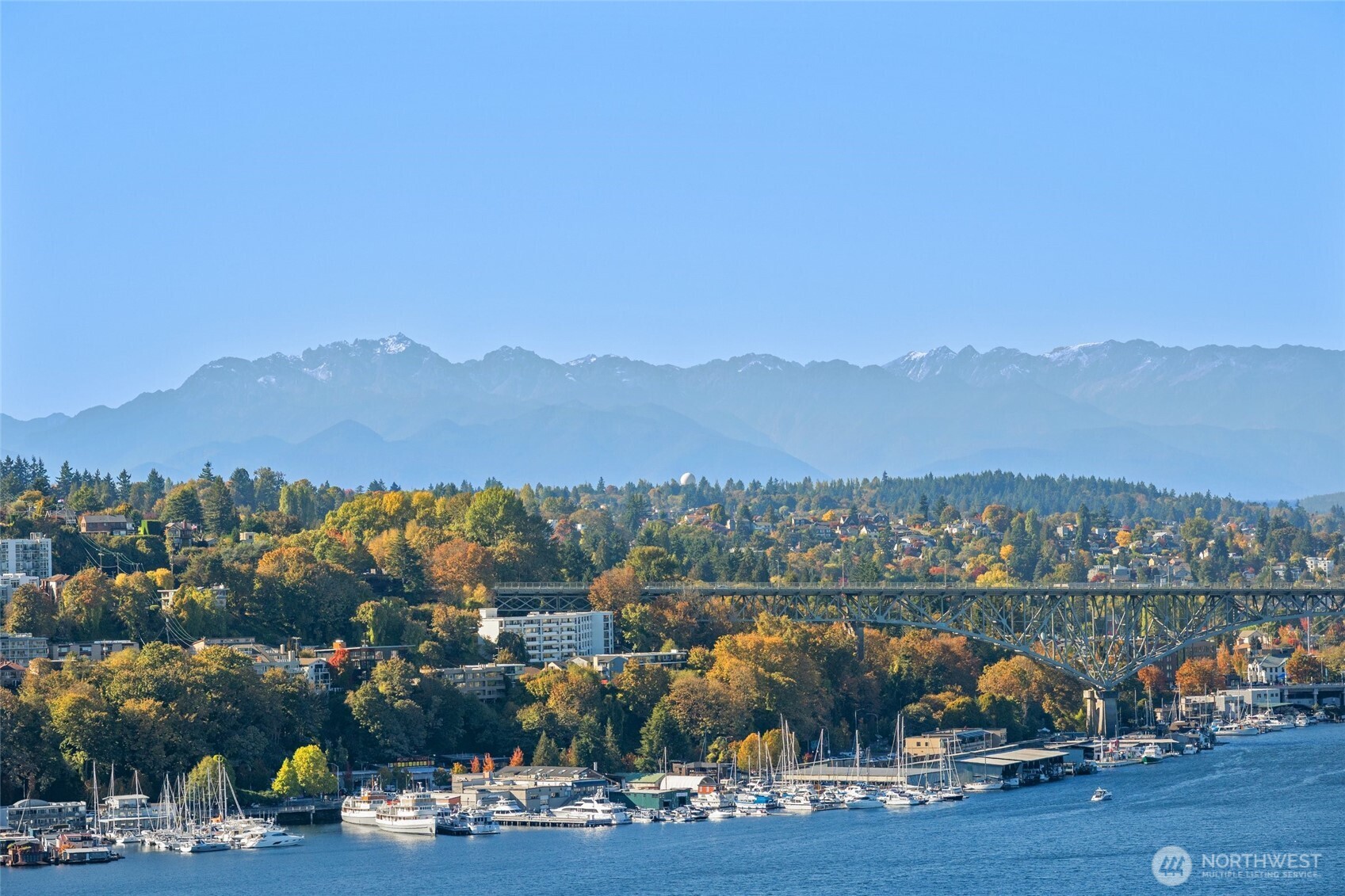 2214 Broadway East, Unit A Seattle, WA 98102 - Photo 31 of 33