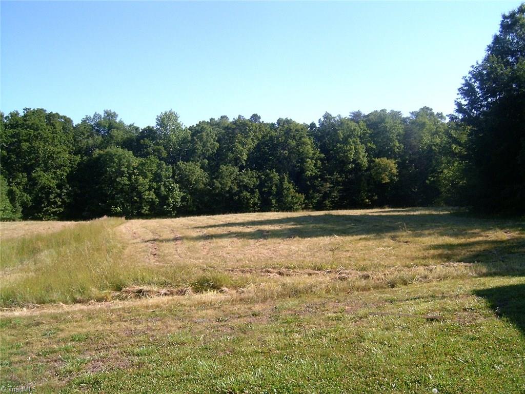 7204-zz Bobby Jean Road Julian, NC 27283 - Photo 3 of 13 Gallery Image 3