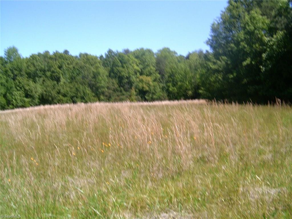 7204-zz Bobby Jean Road Julian, NC 27283 - Photo 4 of 13 Gallery Image 4