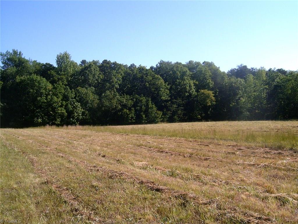 7204-zz Bobby Jean Road Julian, NC 27283 - Photo 5 of 13 Gallery Image 5