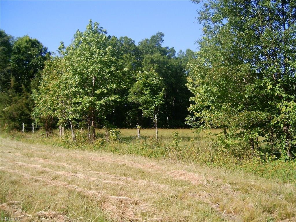 7204-zz Bobby Jean Road Julian, NC 27283 - Photo 7 of 13 Gallery Image 7