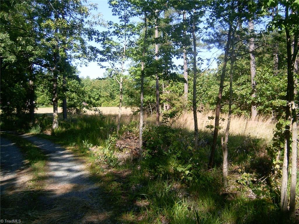7204-zz Bobby Jean Road Julian, NC 27283 - Photo 8 of 13 Gallery Image 8