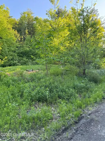 $299,000 | L16 Saunders Street, Whitehall, NY 12887