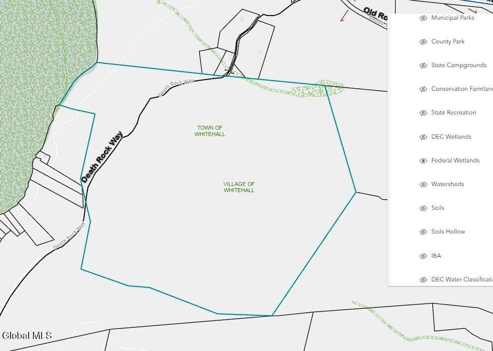 L16 Saunders Street Whitehall, NY 12887 - Photo 12 of 12 wetlands south bay