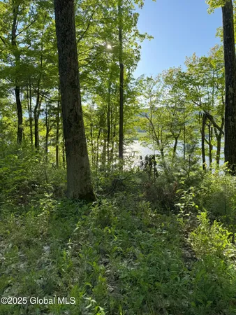 $399,000 | L16 Saunders Street, Whitehall, NY 12887