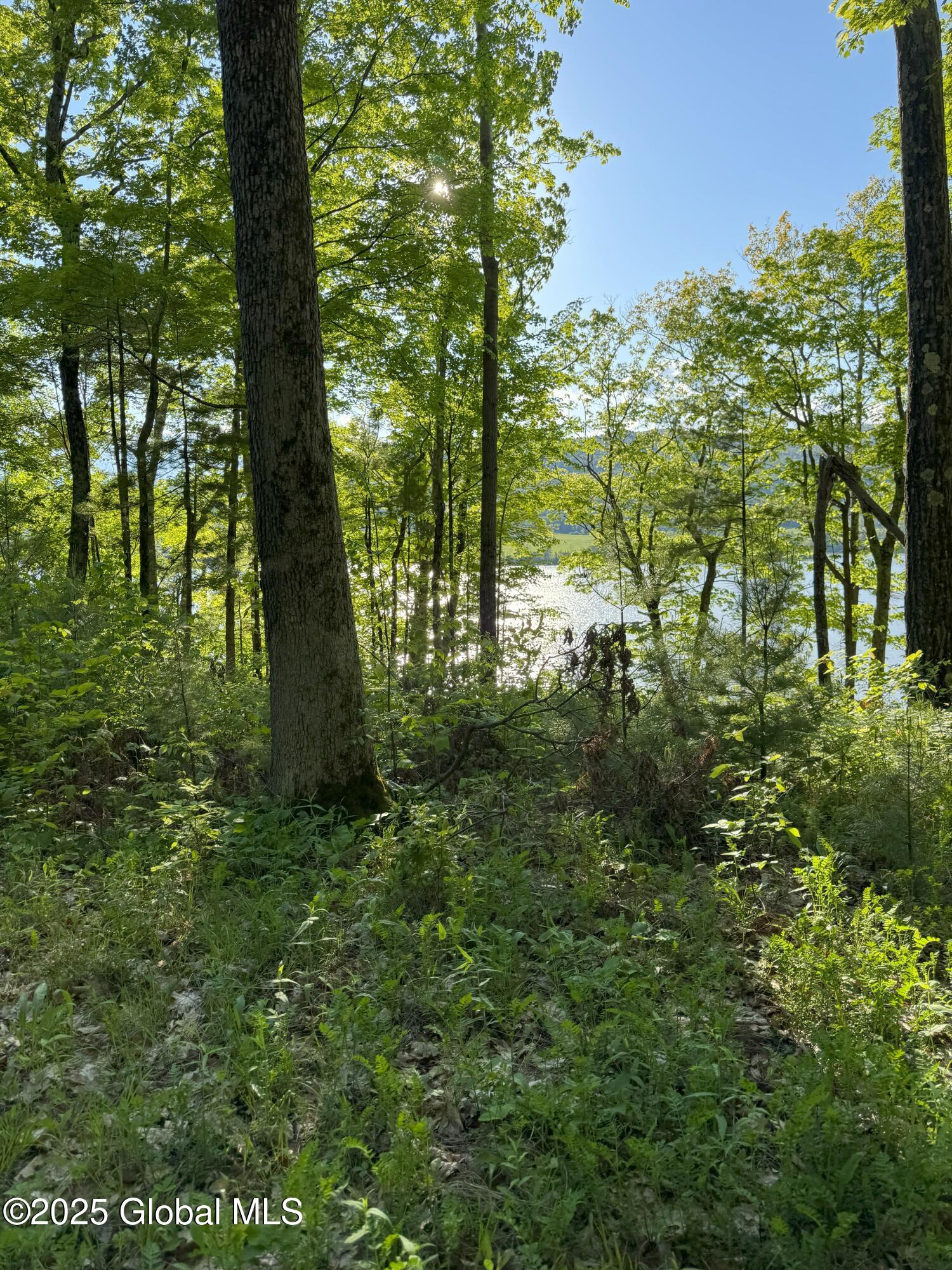 L16 Saunders Street Whitehall, NY 12887 - Photo 7 of 12 IMG_0716