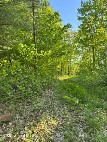 $299,000 | L16 Saunders Street, Whitehall, NY 12887