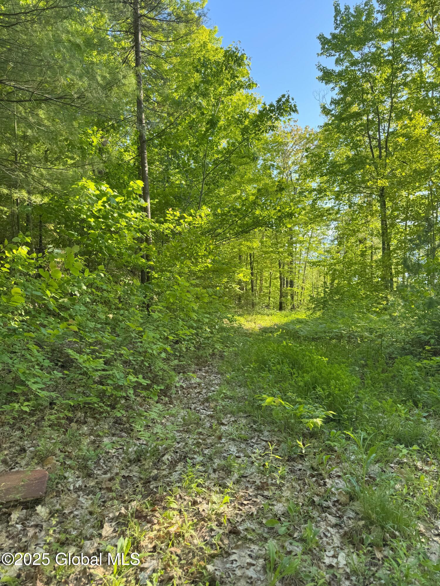 L16 Saunders Street Whitehall, NY 12887 - Photo 9 of 12 IMG_0717