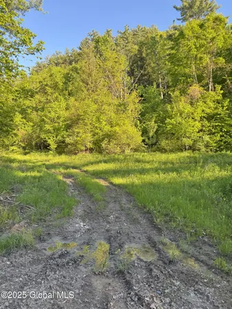 $399,000 | L16 Saunders Street, Whitehall, NY 12887
