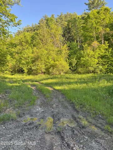 $299,000 | L16 Saunders Street, Whitehall, NY 12887