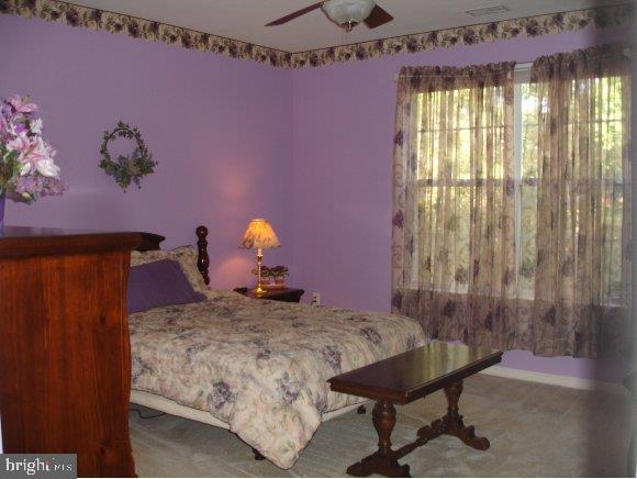 28 Shady Stream Road Barnegat, NJ 08005 - Photo 18 of 19 Gallery Image 18