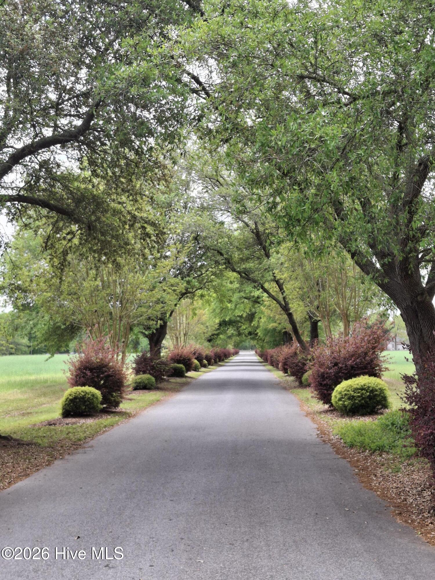 164 Bay View Drive Chocowinity, NC 27817 - Photo 53 of 56 Community Driveway