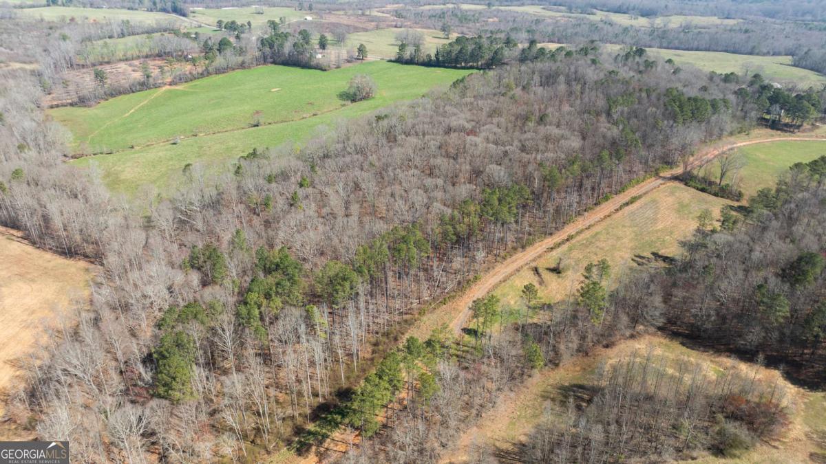 0 Lovvorn Mill Road Bowdon, GA 30108 - Photo 14 of 18