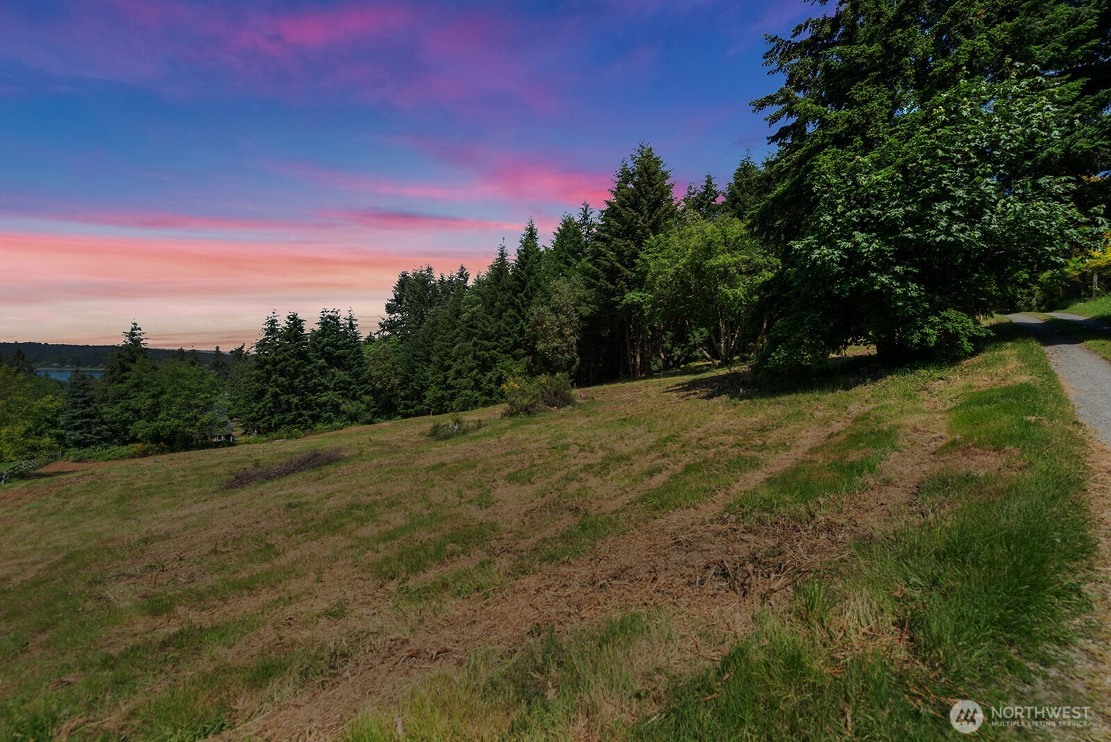 9438 Southwest 266th Lane Vashon, WA 98070 - Photo 9 of 24 a backyard of a house with lots of green space