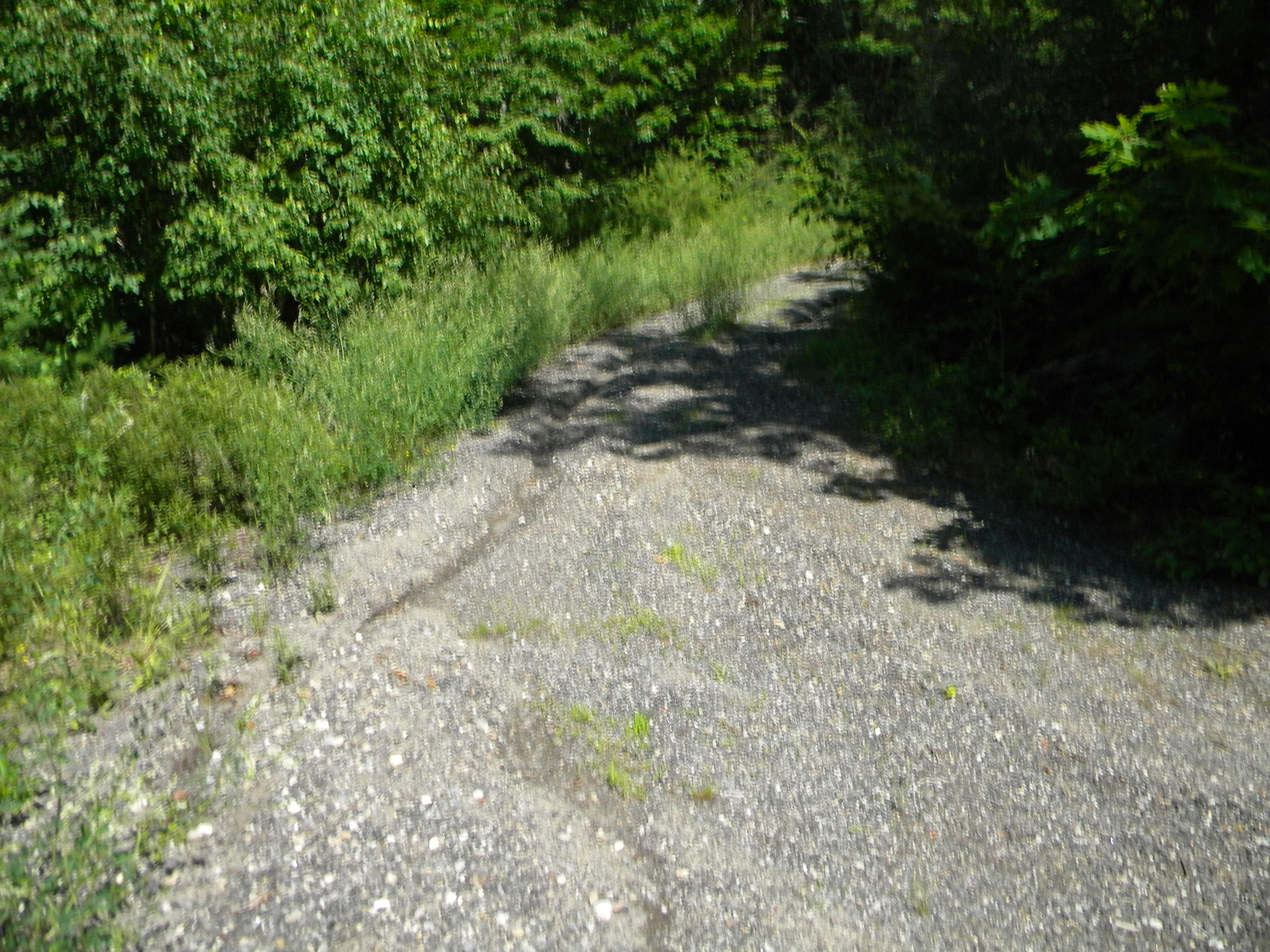 0 Chappell Hill Road Woolwich, ME 04579 - Photo 3 of 4 DSCN4387