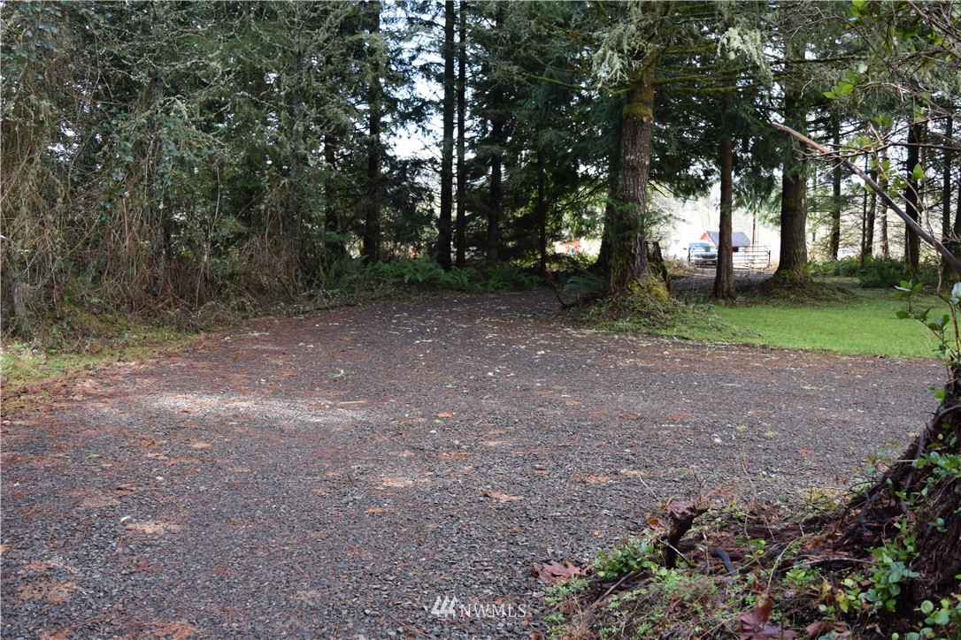 673 Gish Road Onalaska, WA 98570 - Photo 3 of 25 Gallery Image 3